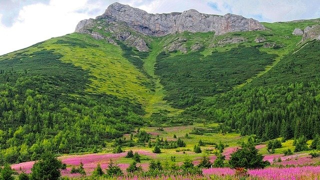 zelené Tatry